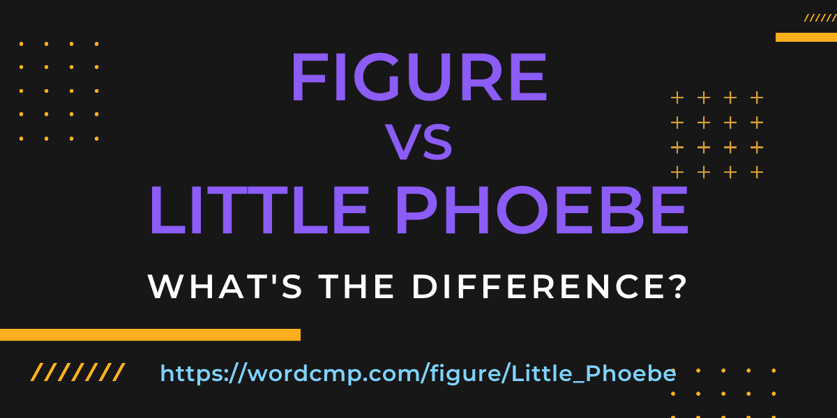 Difference between figure and Little Phoebe