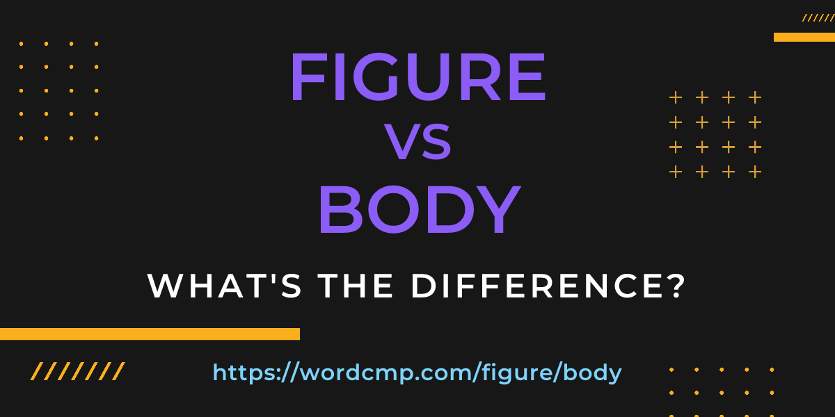 Difference between figure and body