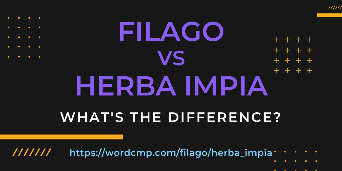 Difference between filago and herba impia