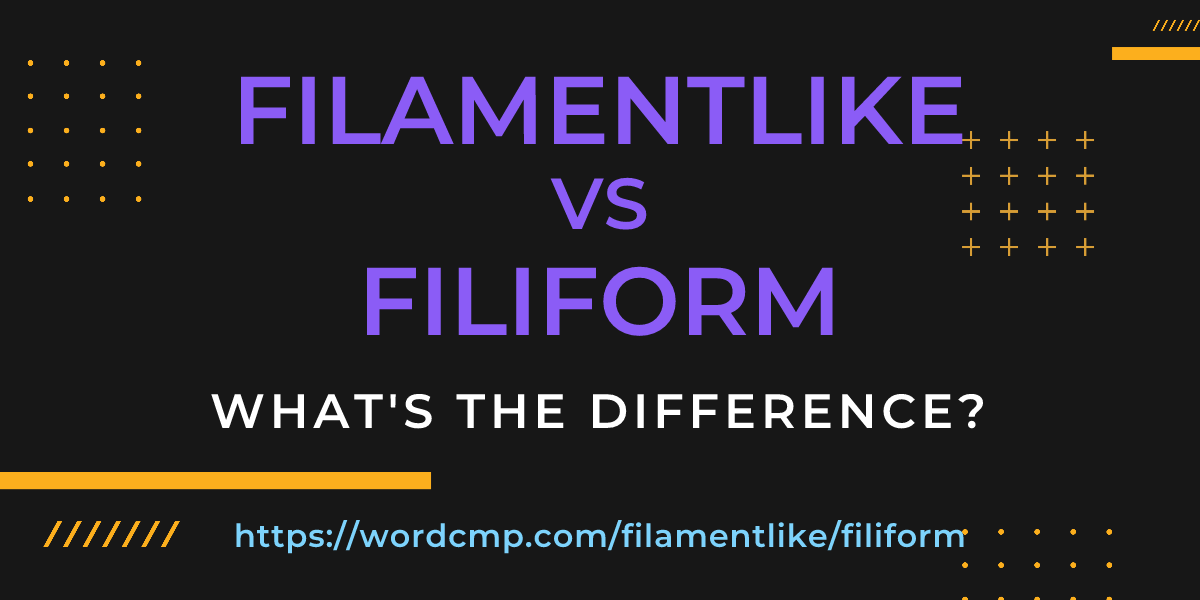 Difference between filamentlike and filiform