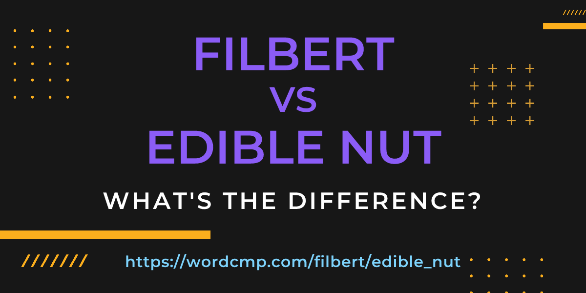 Difference between filbert and edible nut