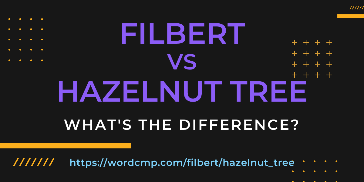 Difference between filbert and hazelnut tree