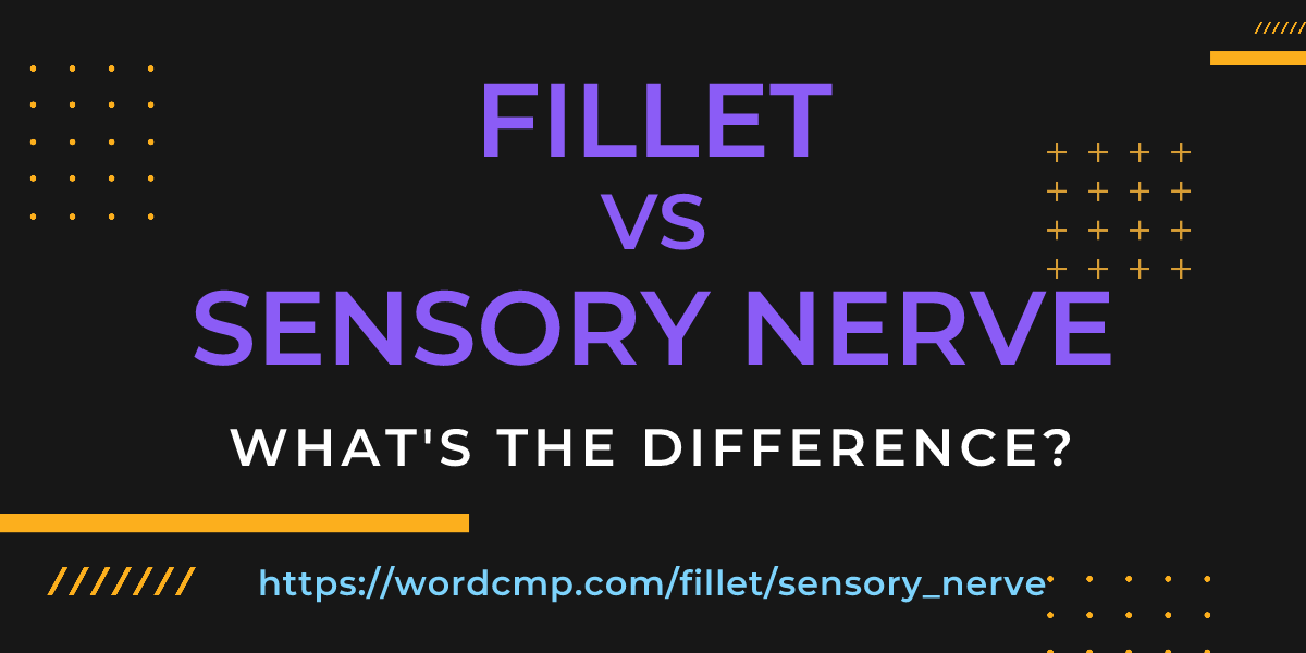Difference between fillet and sensory nerve