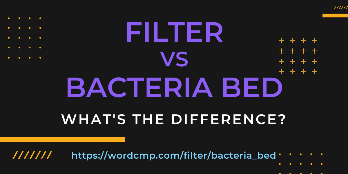 Difference between filter and bacteria bed