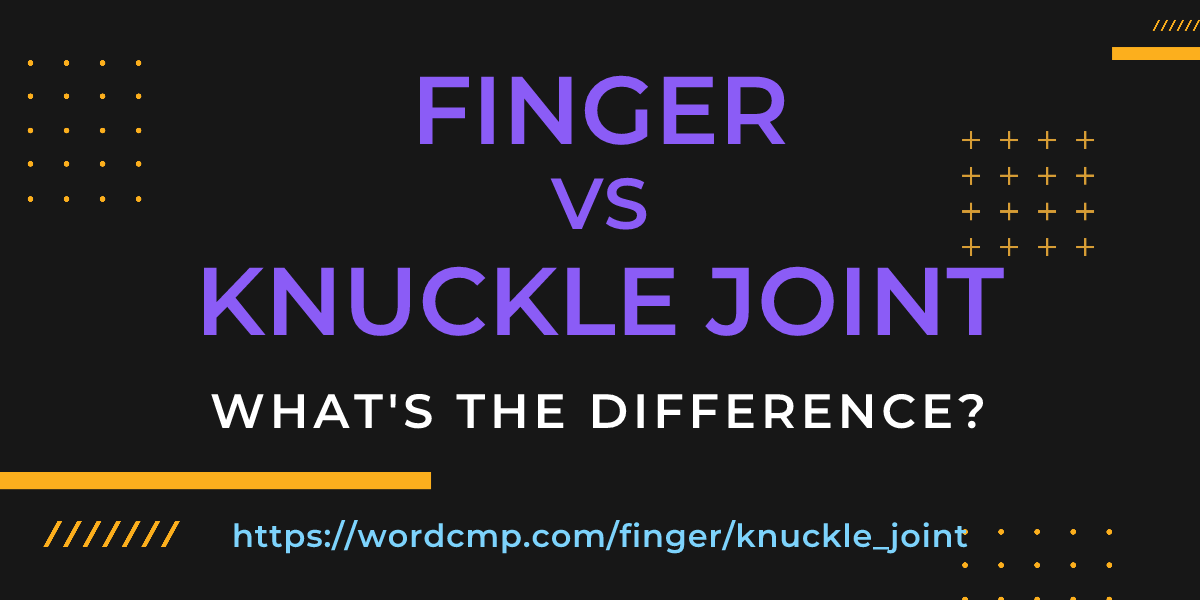 Difference between finger and knuckle joint