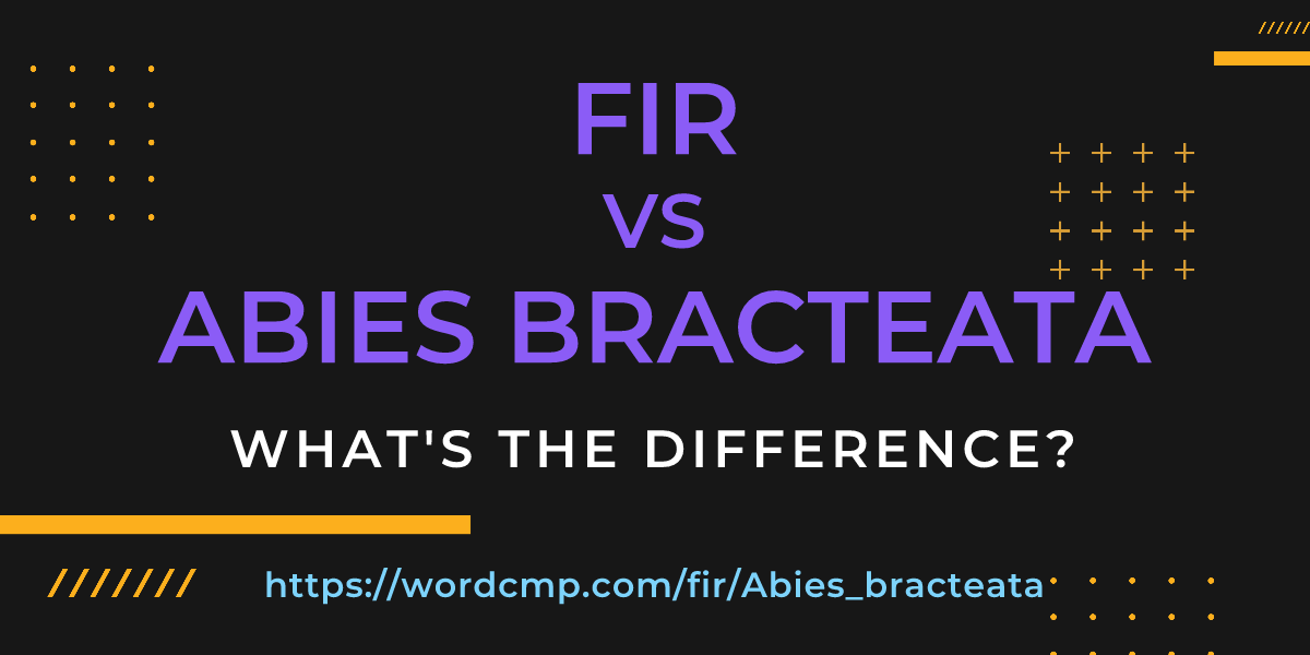 Difference between fir and Abies bracteata