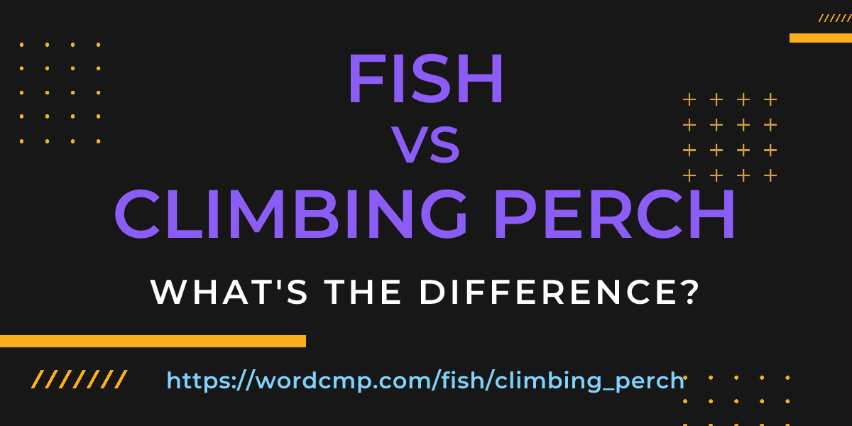 Difference between fish and climbing perch