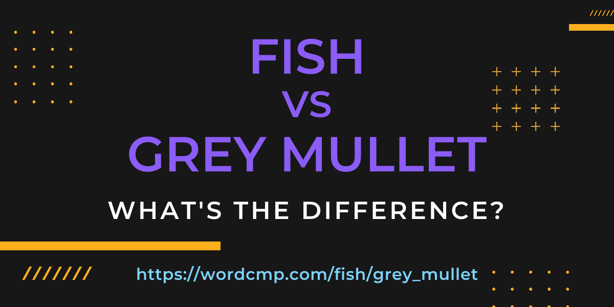 Difference between fish and grey mullet