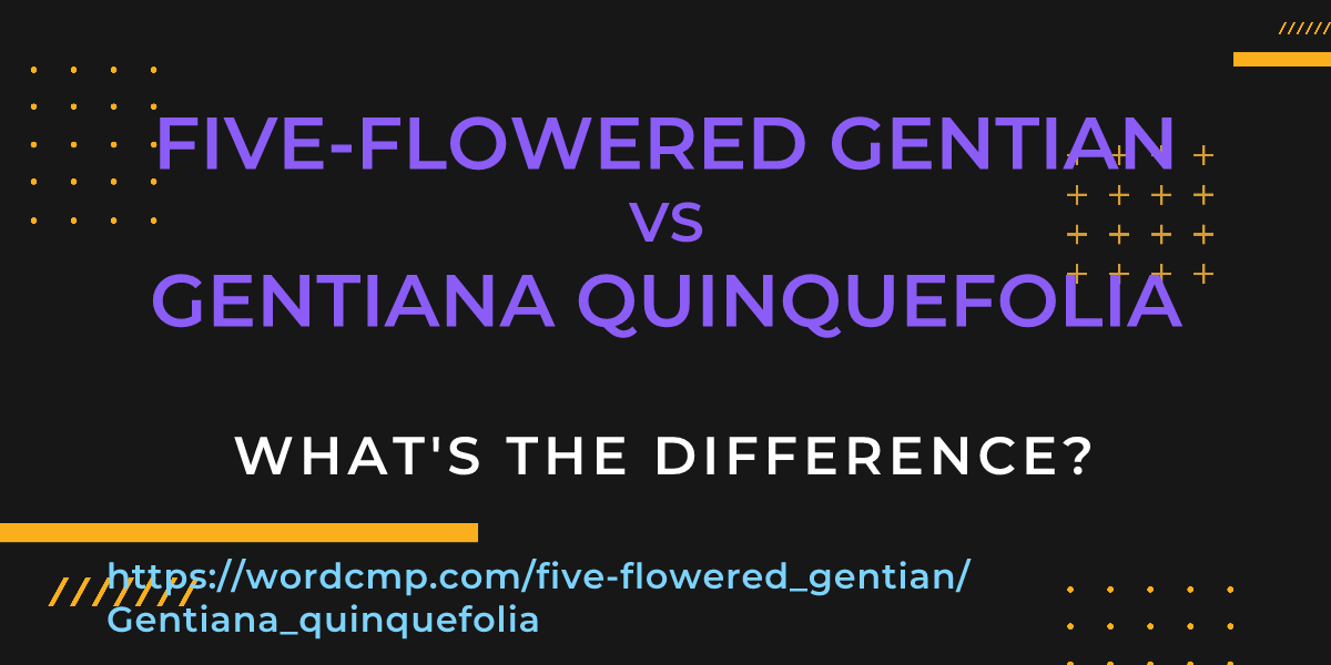 Difference between five-flowered gentian and Gentiana quinquefolia