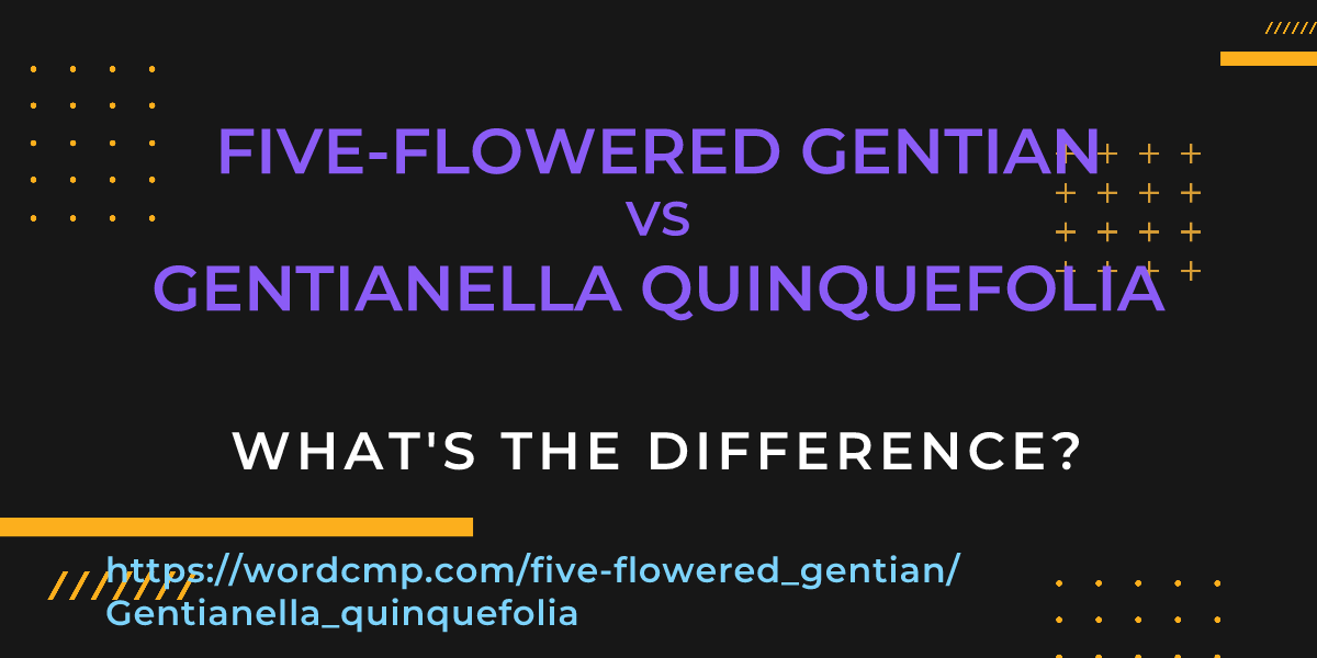 Difference between five-flowered gentian and Gentianella quinquefolia