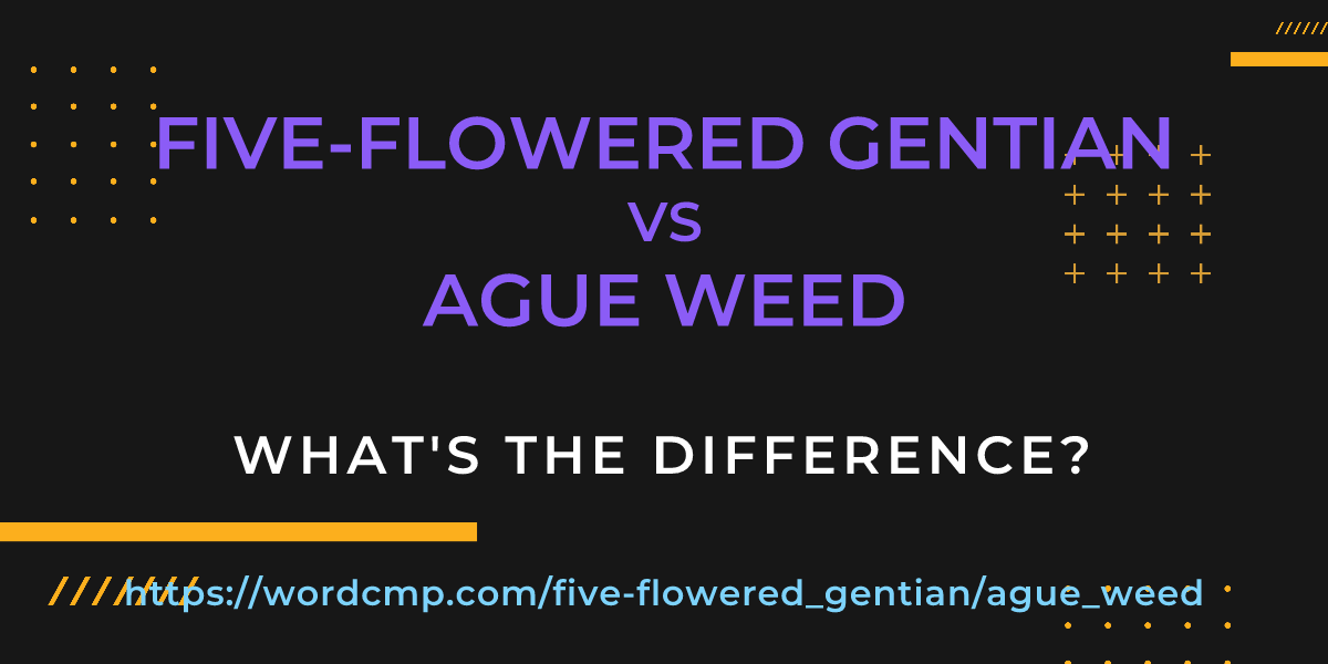 Difference between five-flowered gentian and ague weed