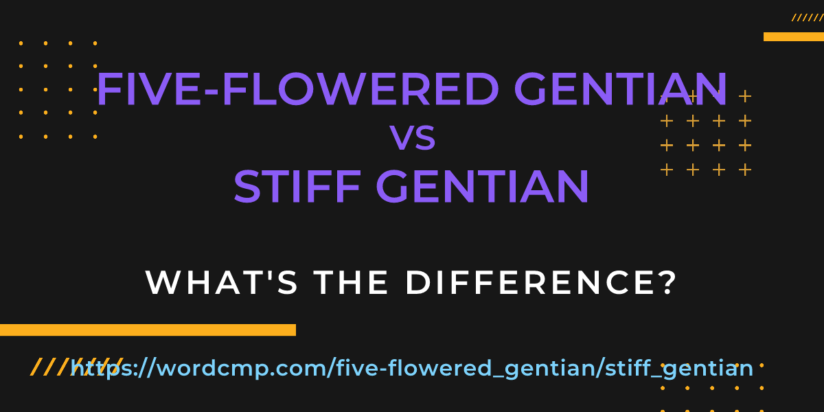 Difference between five-flowered gentian and stiff gentian