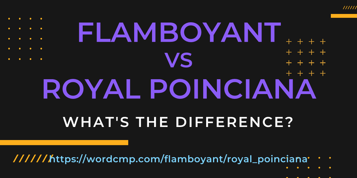 Difference between flamboyant and royal poinciana