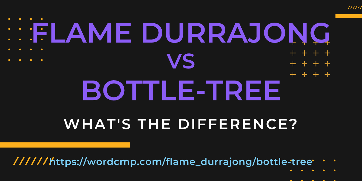 Difference between flame durrajong and bottle-tree