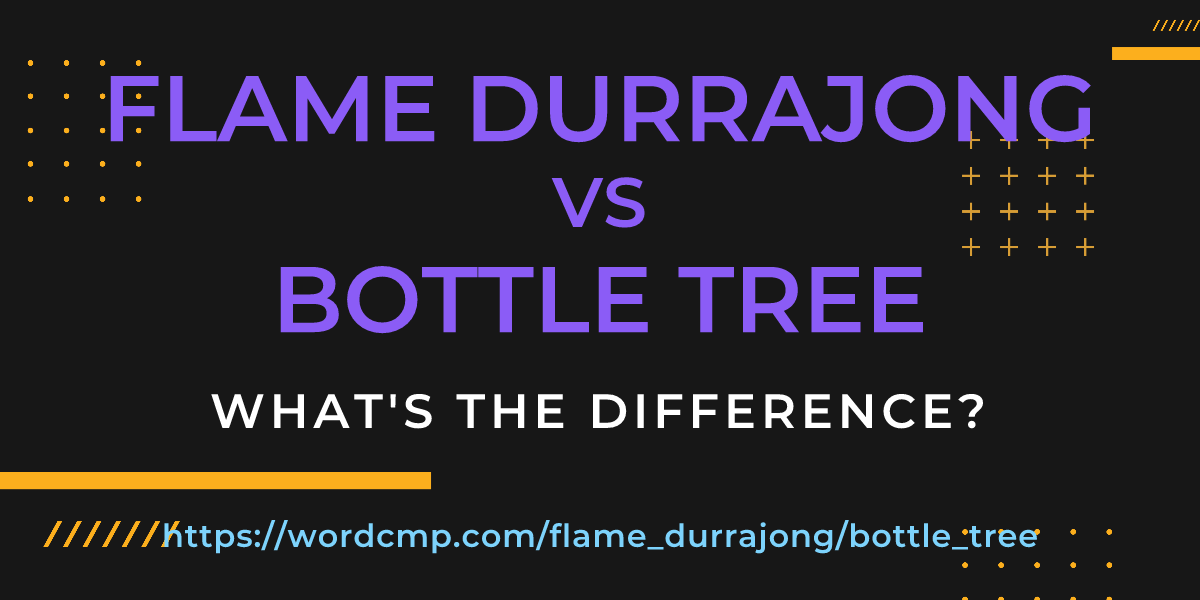 Difference between flame durrajong and bottle tree