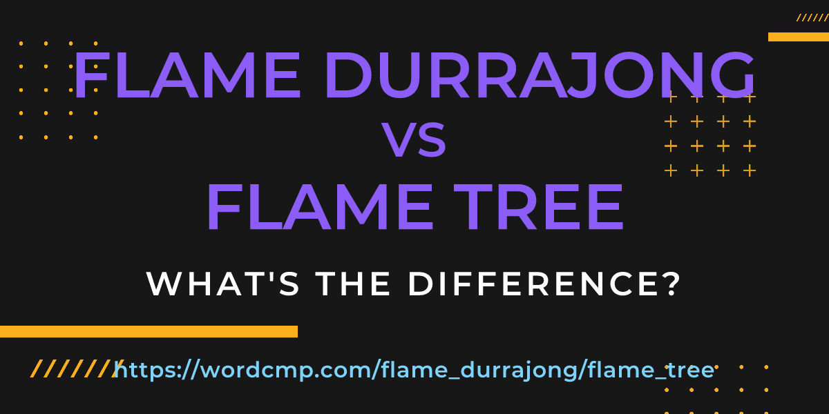 Difference between flame durrajong and flame tree