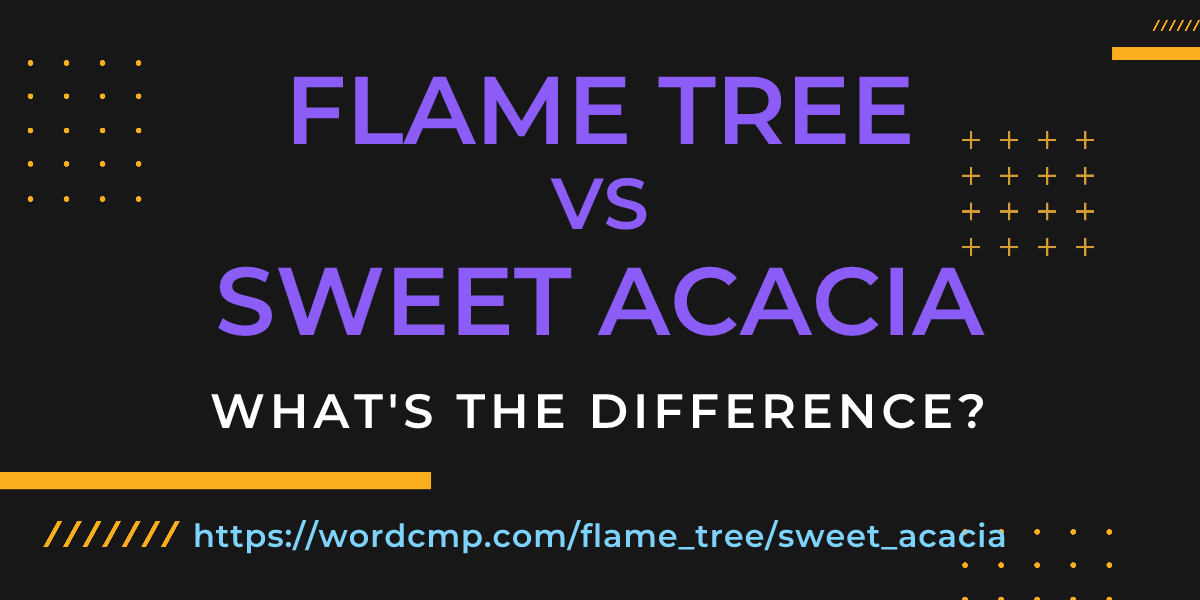 Difference between flame tree and sweet acacia