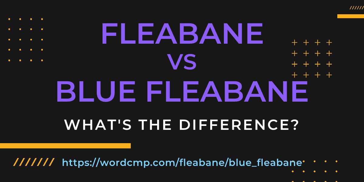 Difference between fleabane and blue fleabane