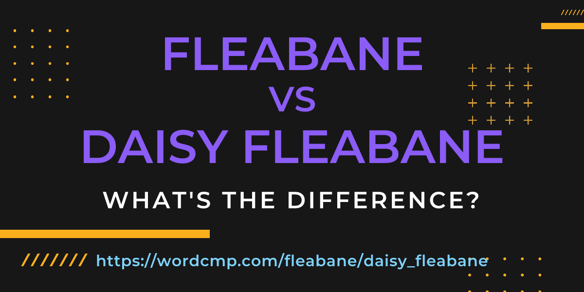 Difference between fleabane and daisy fleabane