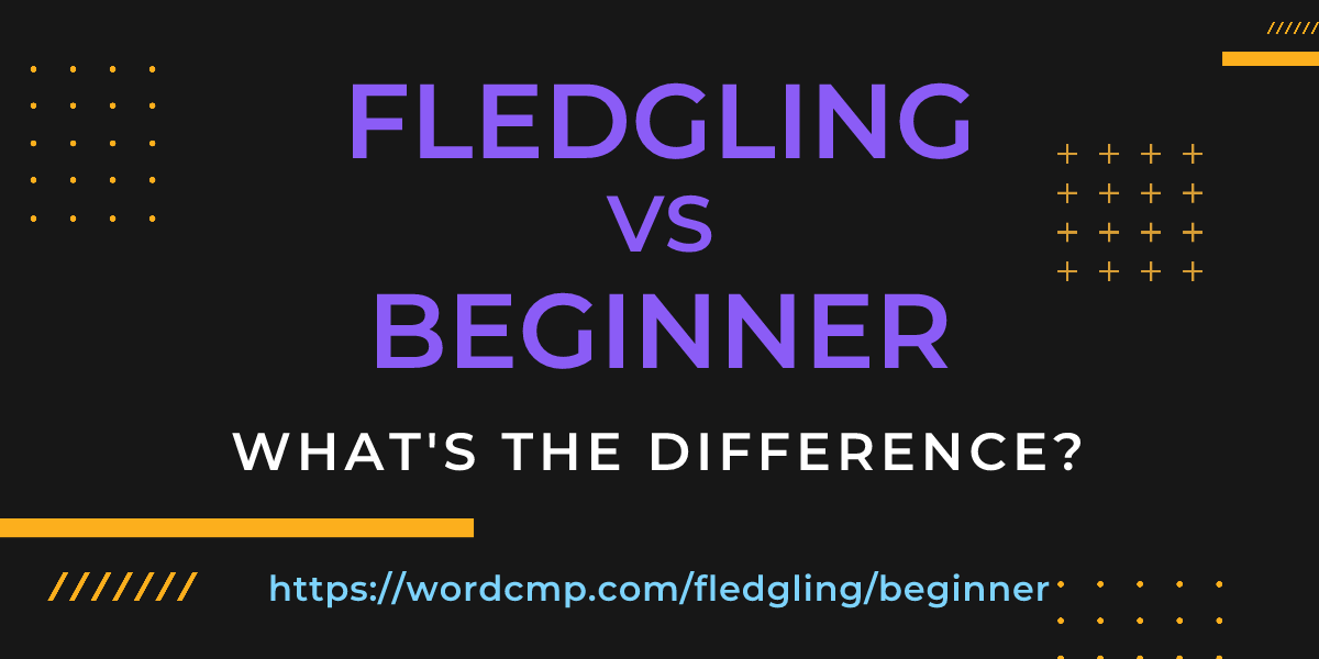 Difference between fledgling and beginner