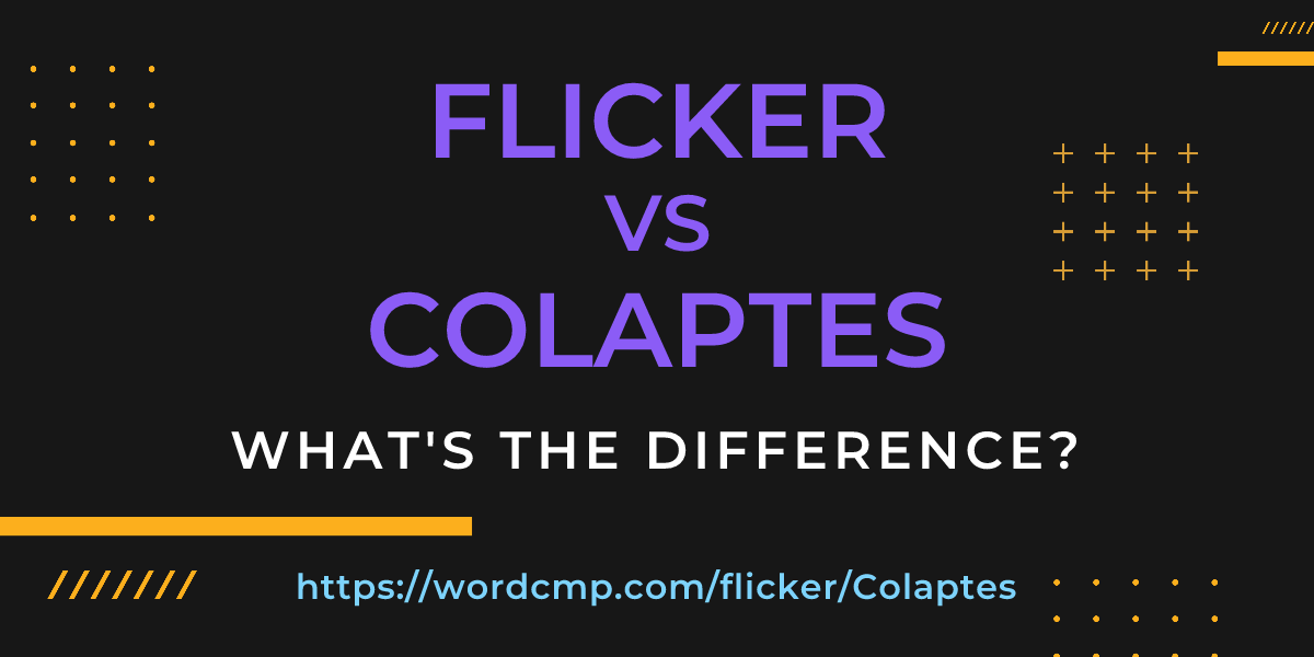 Difference between flicker and Colaptes