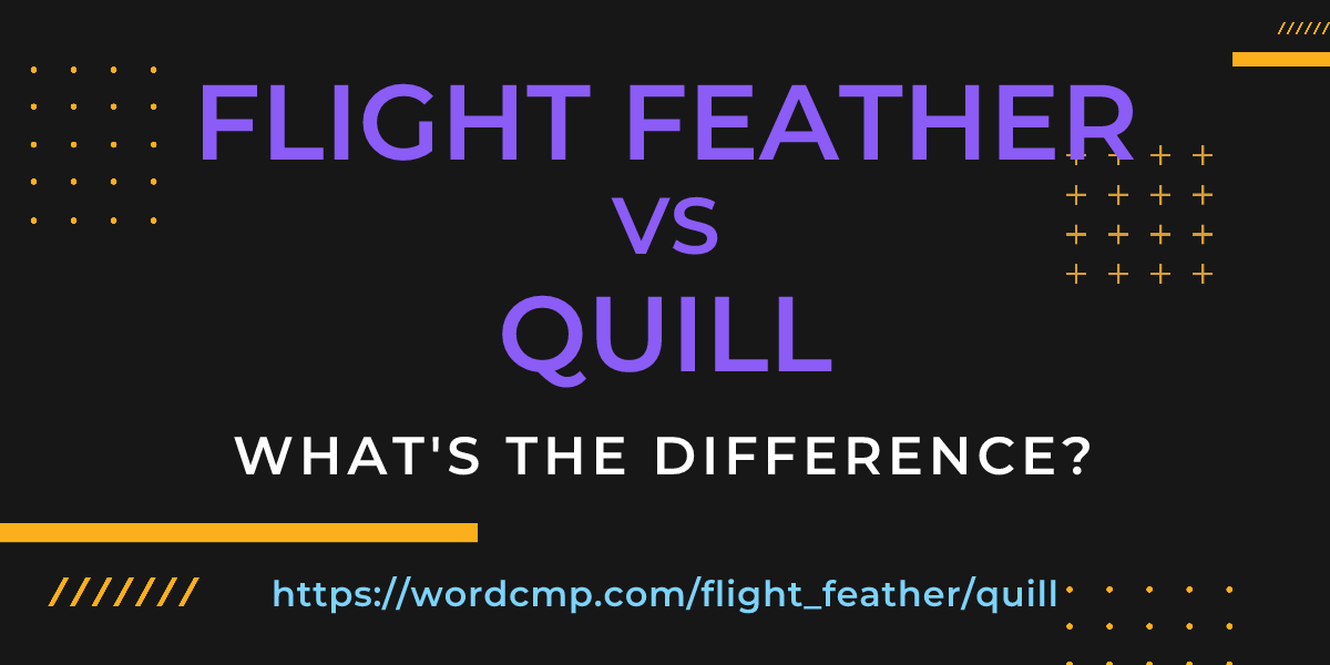 Difference between flight feather and quill