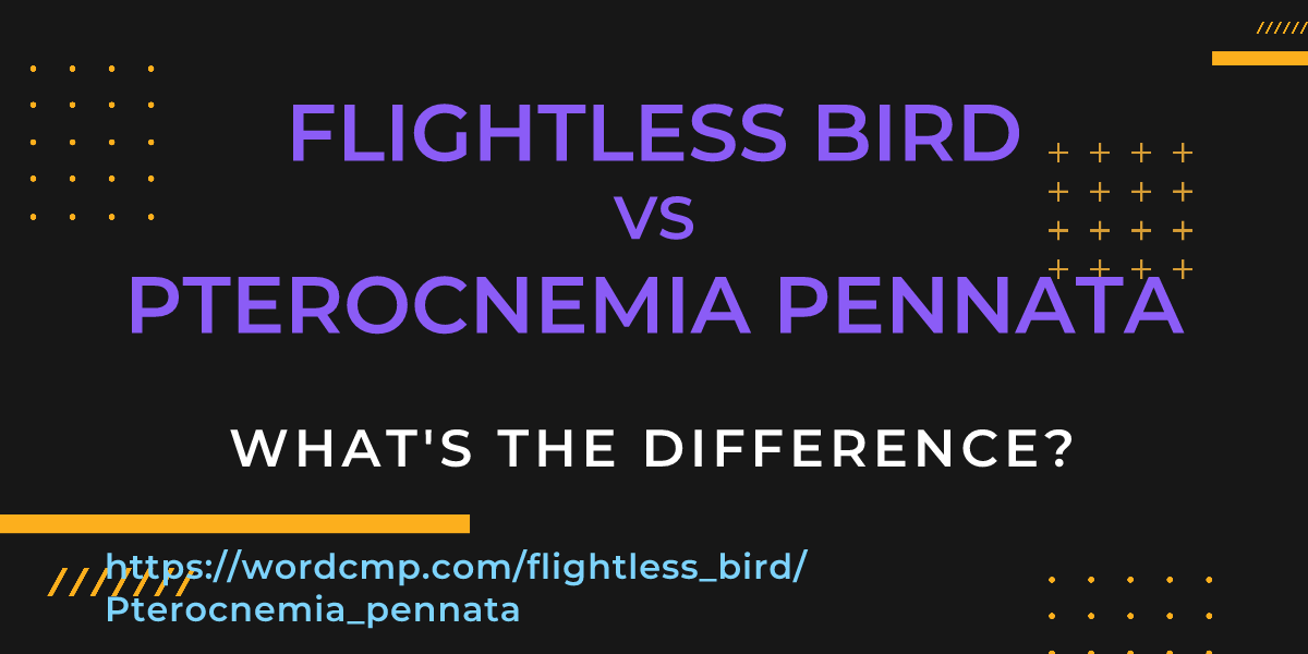 Difference between flightless bird and Pterocnemia pennata
