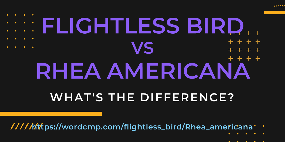 Difference between flightless bird and Rhea americana