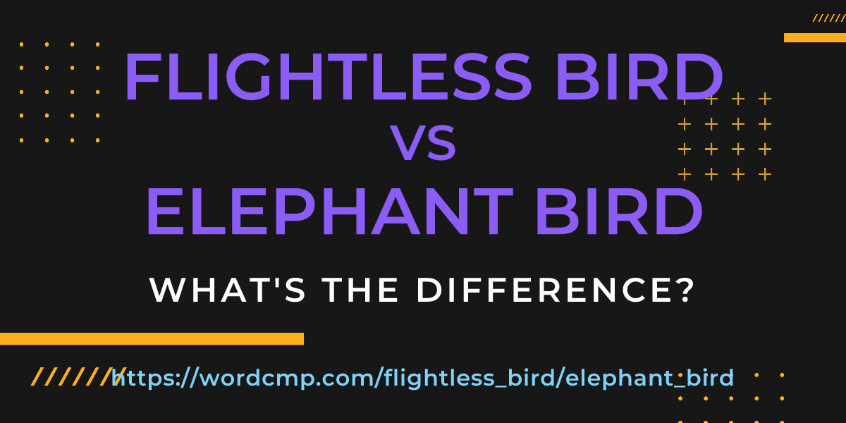 Difference between flightless bird and elephant bird