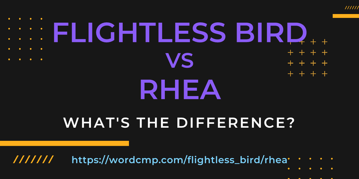 Difference between flightless bird and rhea