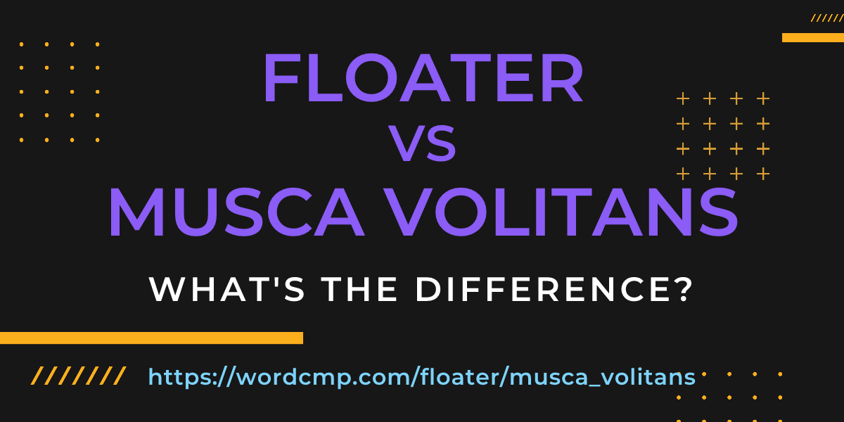 Difference between floater and musca volitans