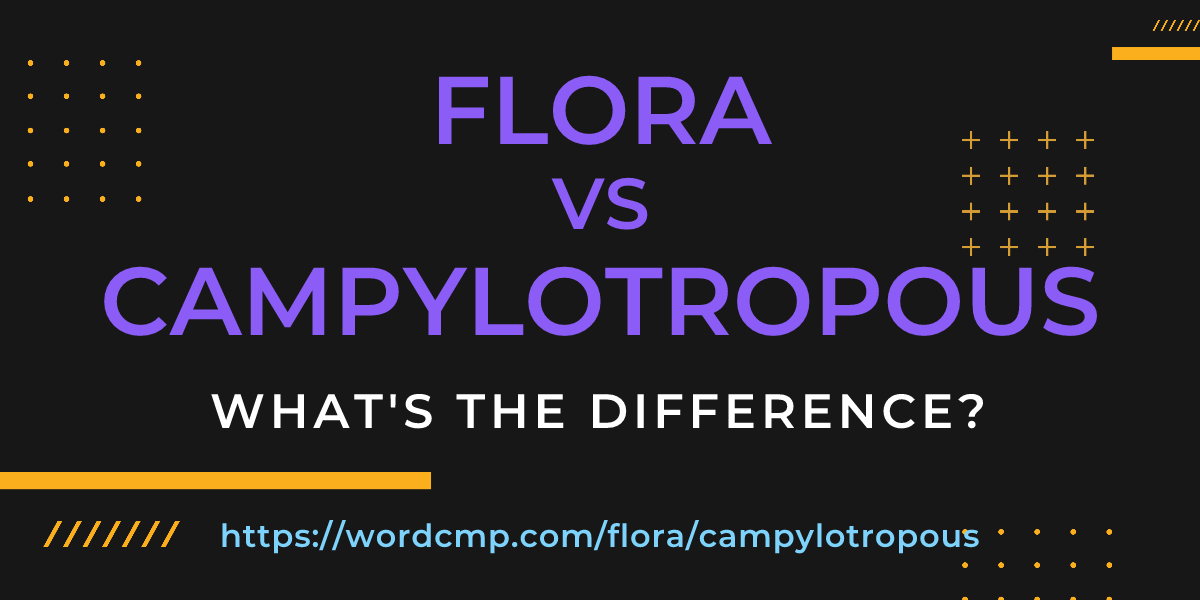 Difference between flora and campylotropous