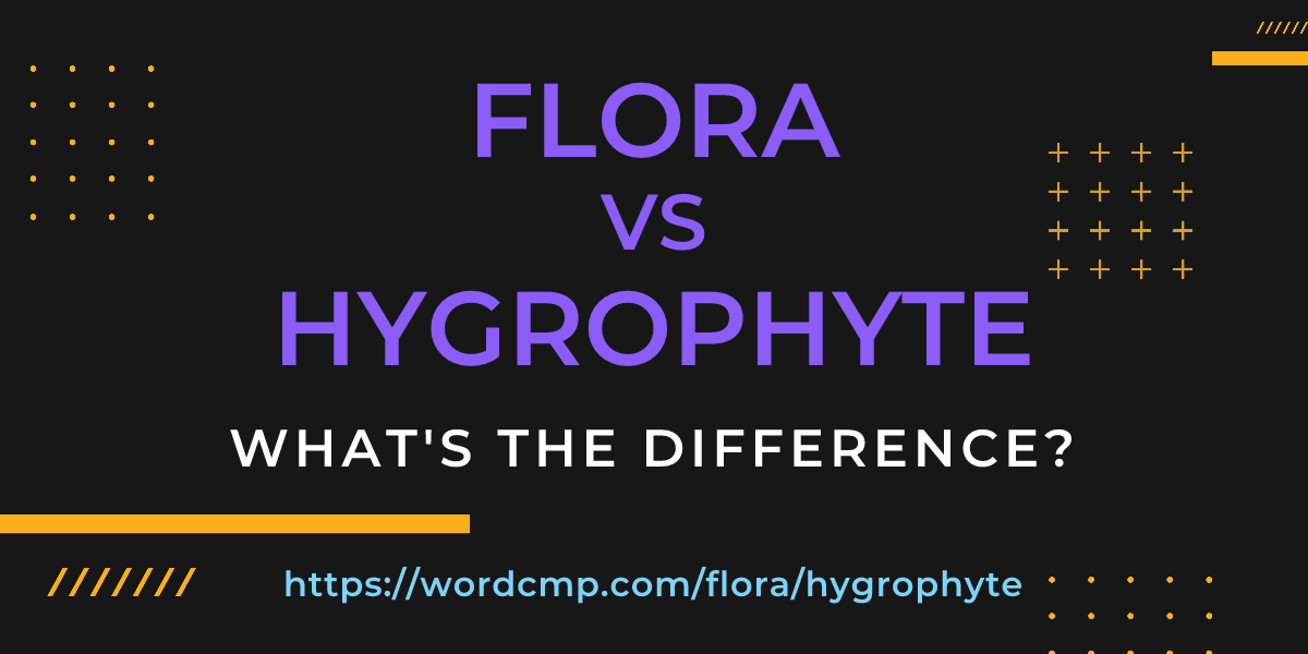 Difference between flora and hygrophyte