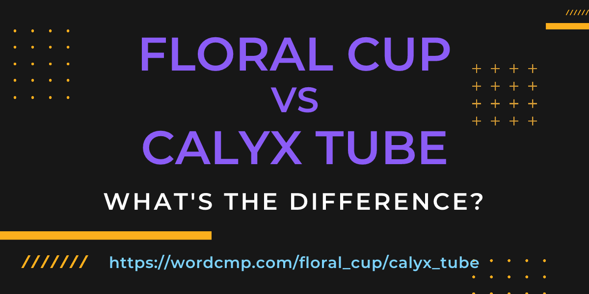 Difference between floral cup and calyx tube