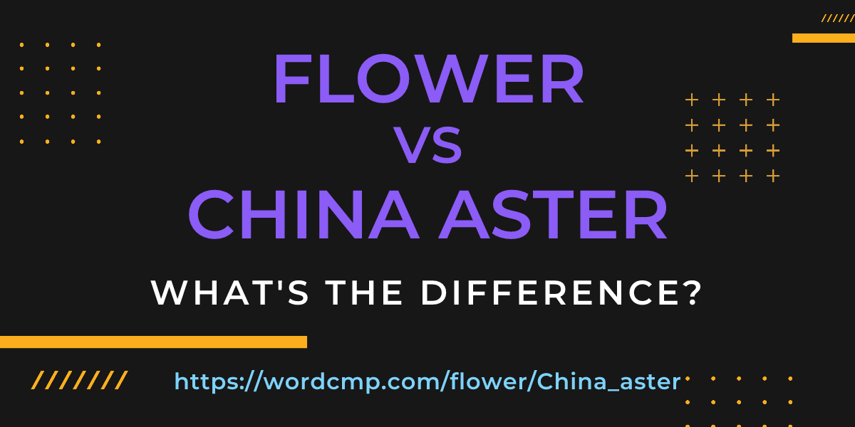 Difference between flower and China aster