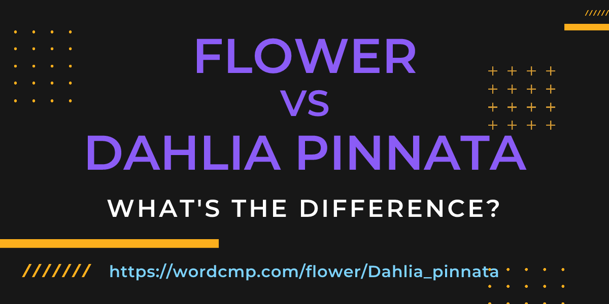 Difference between flower and Dahlia pinnata