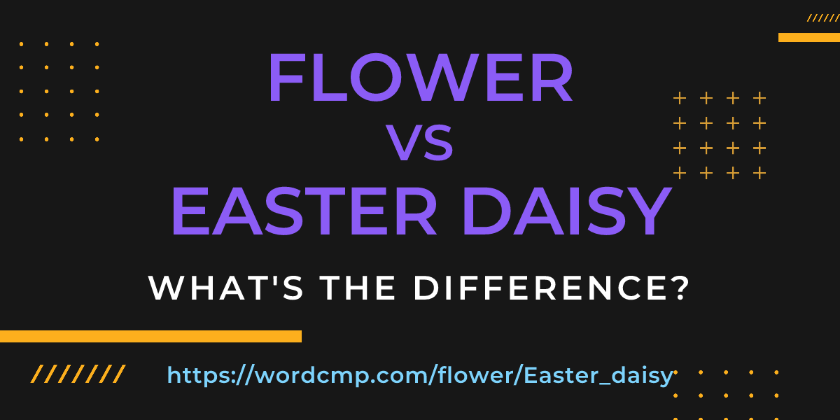 Difference between flower and Easter daisy