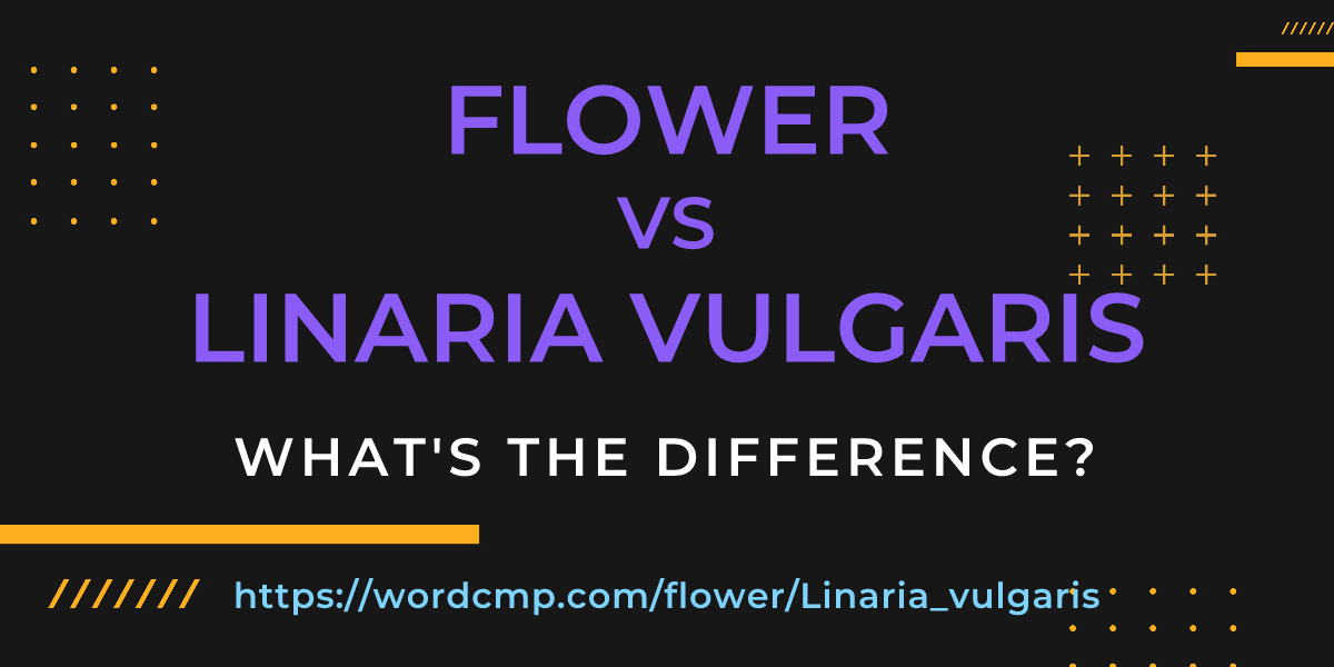 Difference between flower and Linaria vulgaris