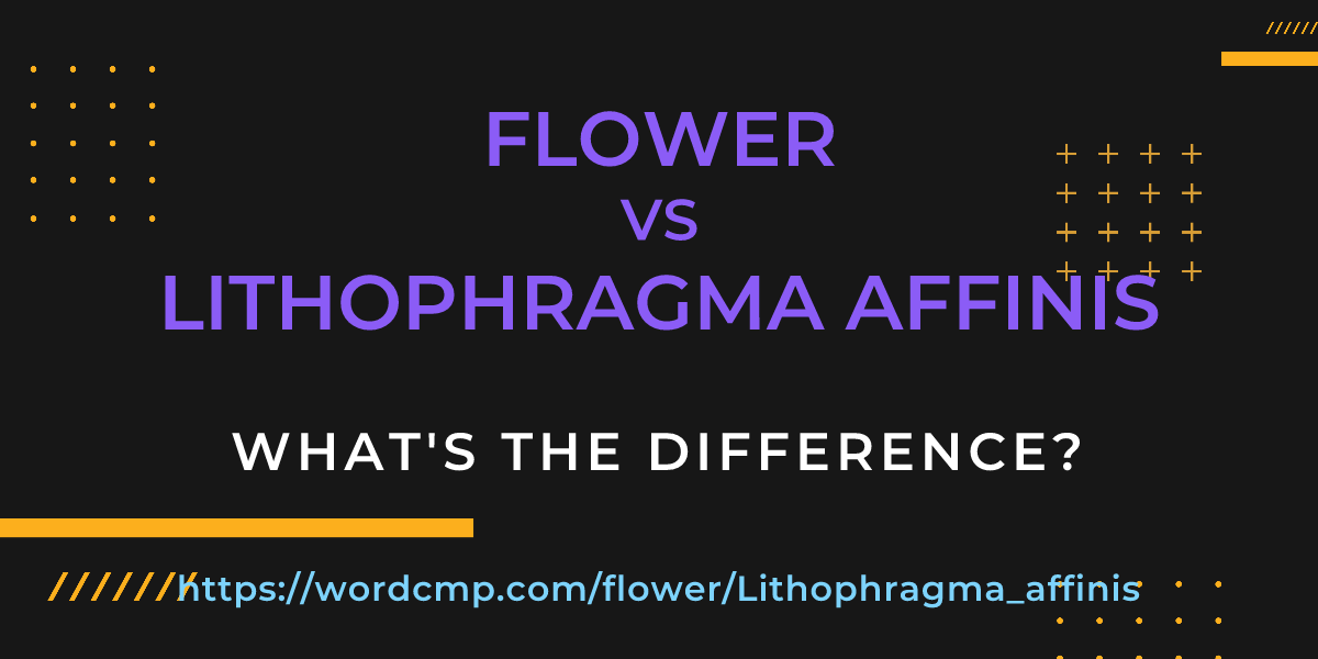 Difference between flower and Lithophragma affinis