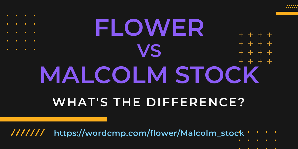 Difference between flower and Malcolm stock