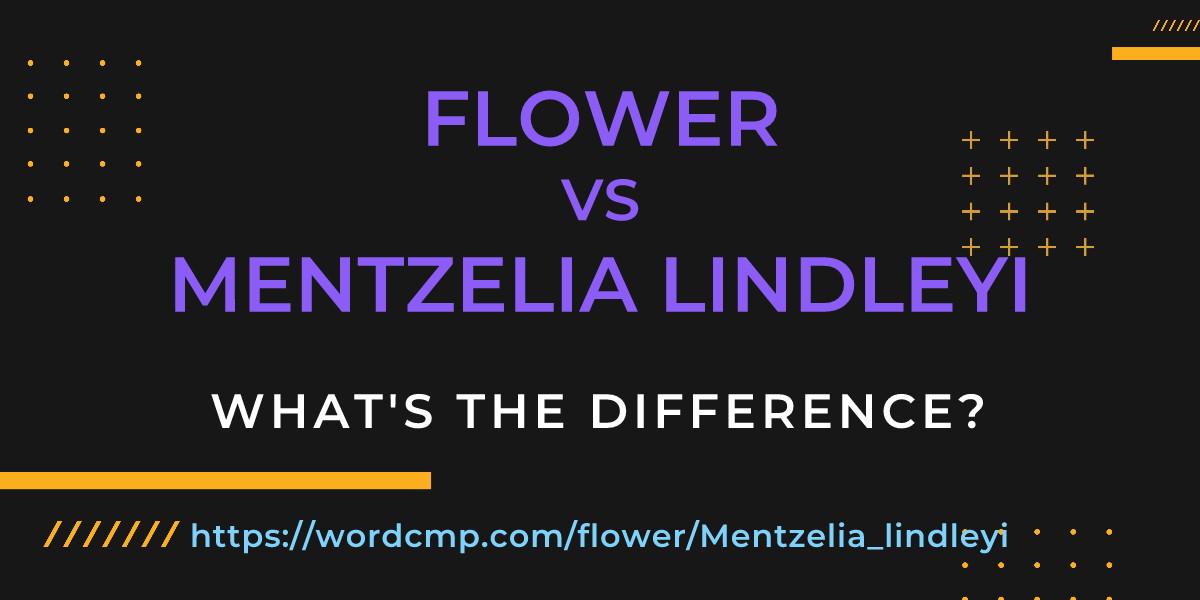Difference between flower and Mentzelia lindleyi