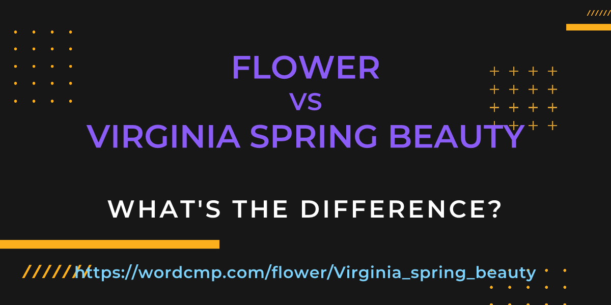 Difference between flower and Virginia spring beauty