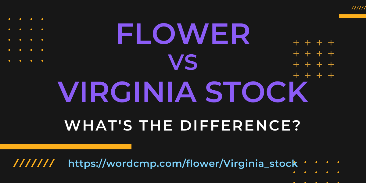 Difference between flower and Virginia stock
