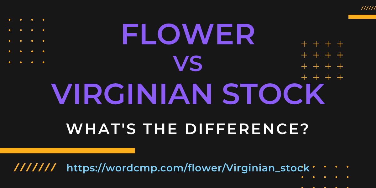 Difference between flower and Virginian stock