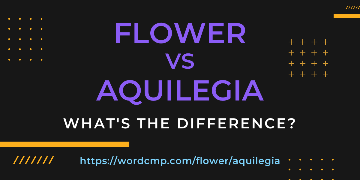 Difference between flower and aquilegia