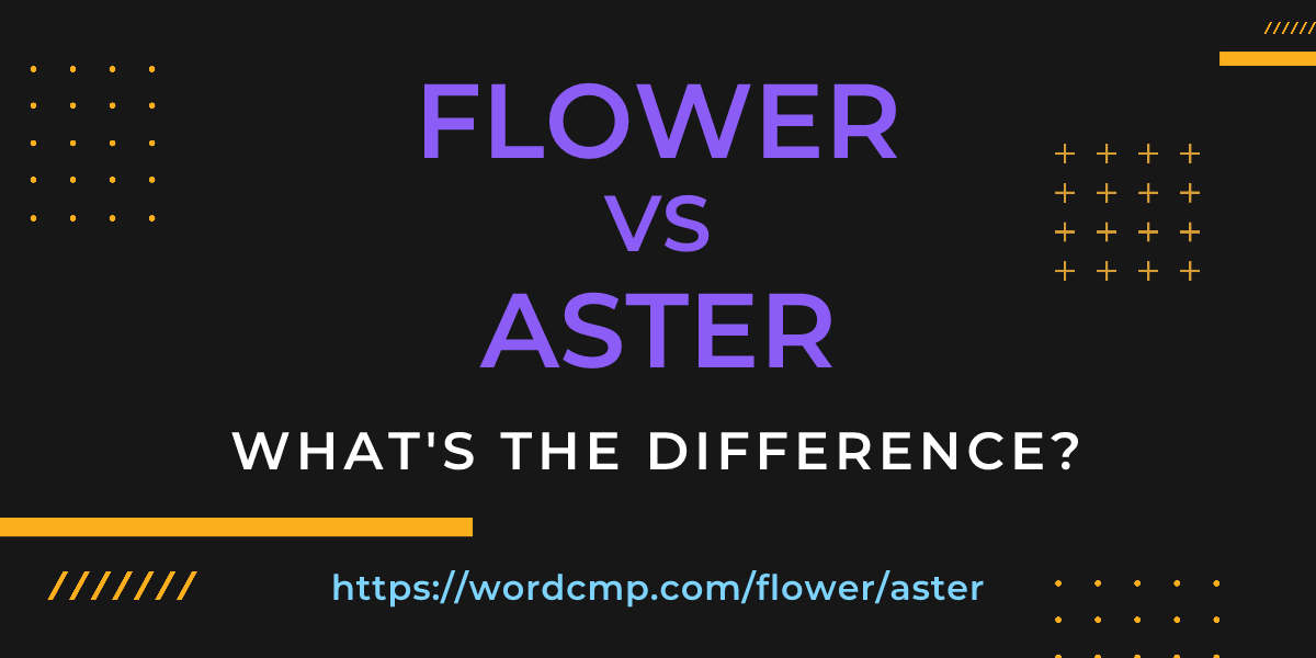 Difference between flower and aster