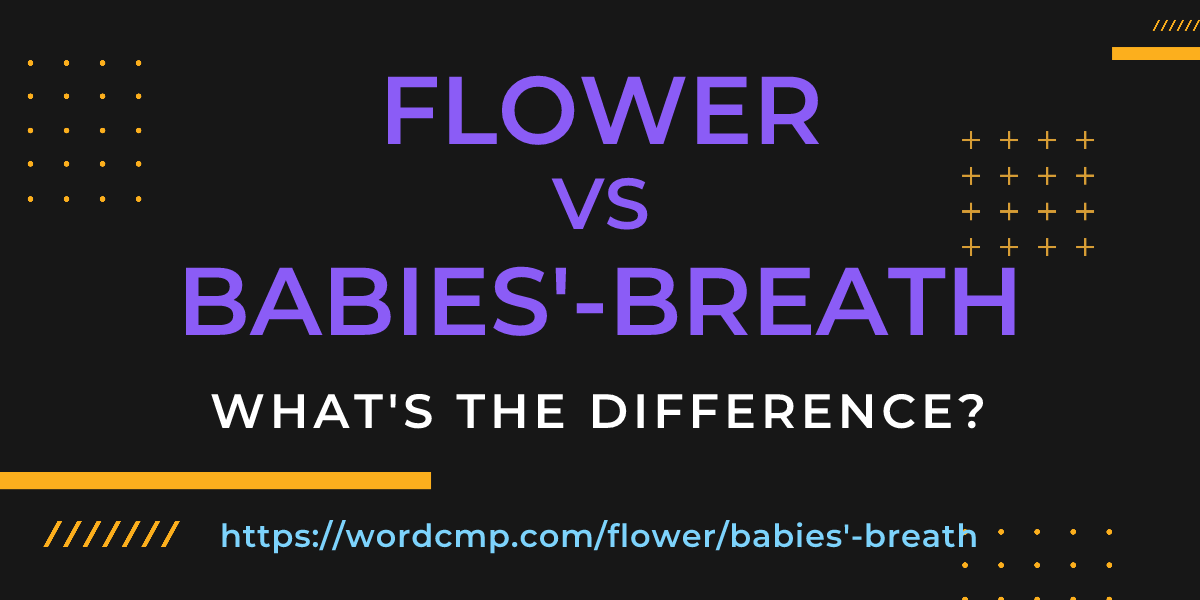Difference between flower and babies'-breath