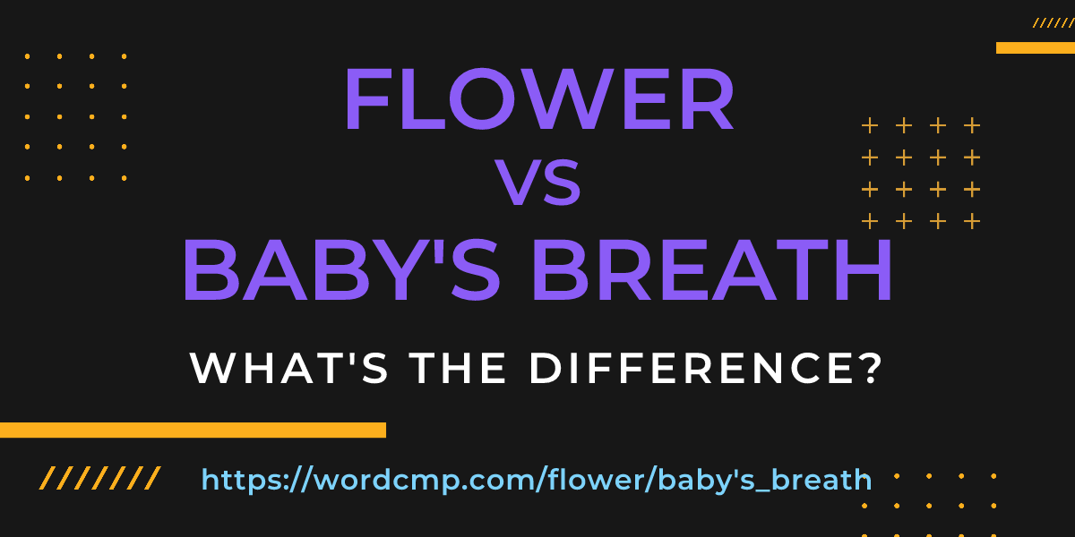 Difference between flower and baby's breath