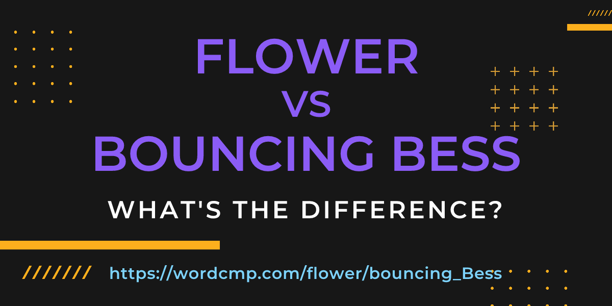 Difference between flower and bouncing Bess