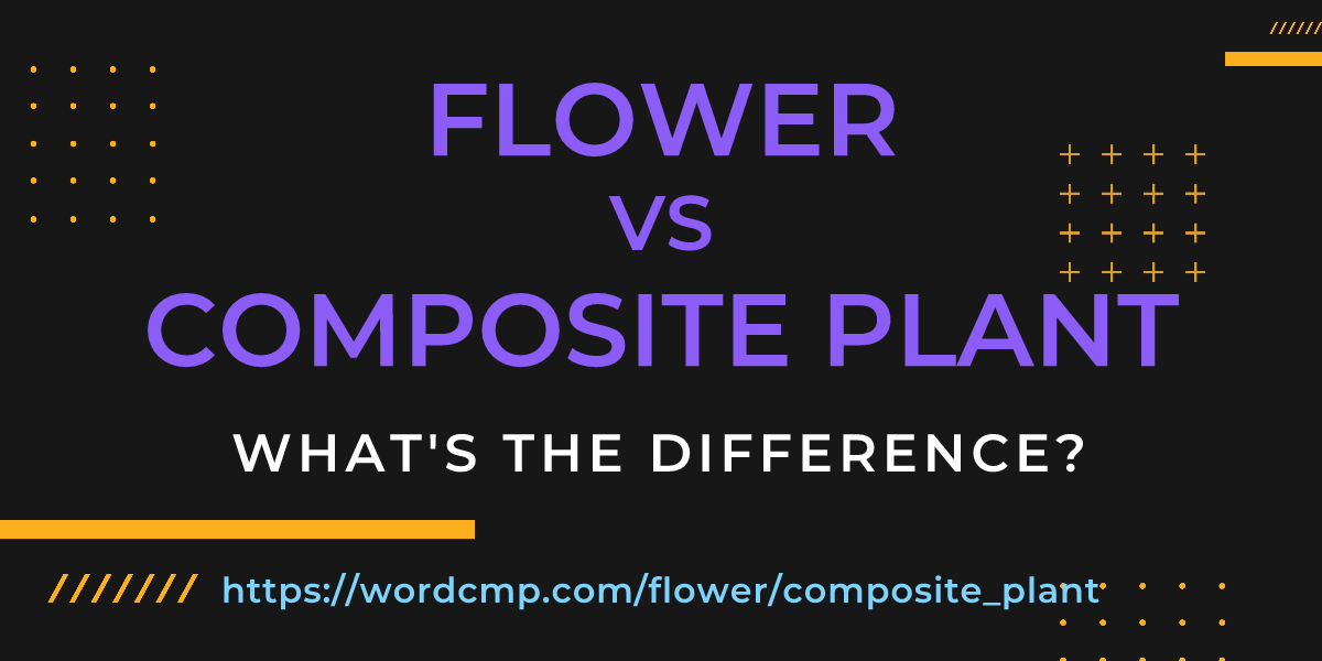 Difference between flower and composite plant
